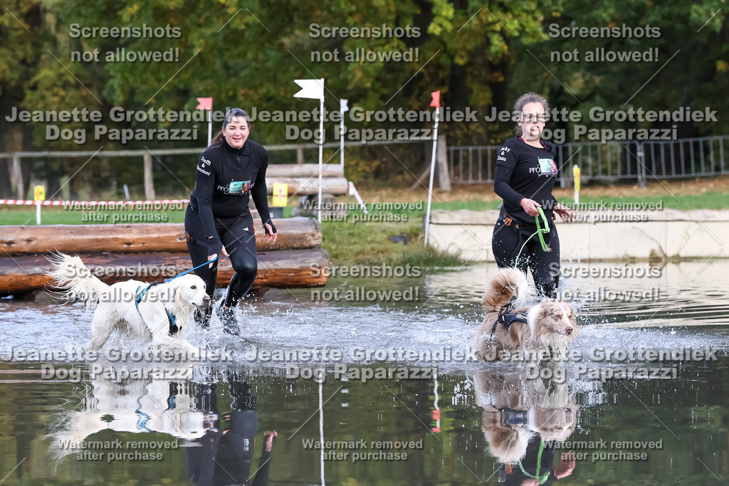 Dog Paparazzi - Strongdog 10-25-6906 | Dog Paparazzi Jeanette Grottendiek Fotografie & Videografie - Realisiert mit Pictrs.com