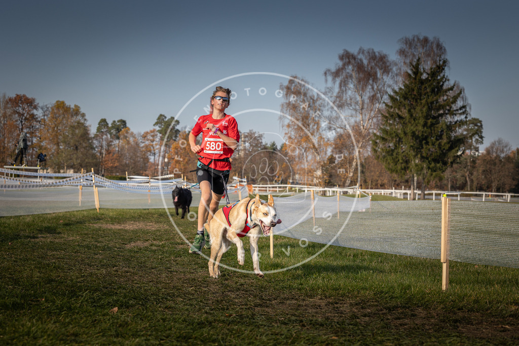 CaniXpix_0L8A9639 | Hundefotografie, Tierfotograf, Pfotenfotografie, Fotoshooting Hund, Hunde Portrait, Hundesport, Hundeportraits, Heideshooting, Hunde, Sportfotograf, Hundefotograf, Turnierhundsport, THS,  - Realisiert mit Pictrs.com