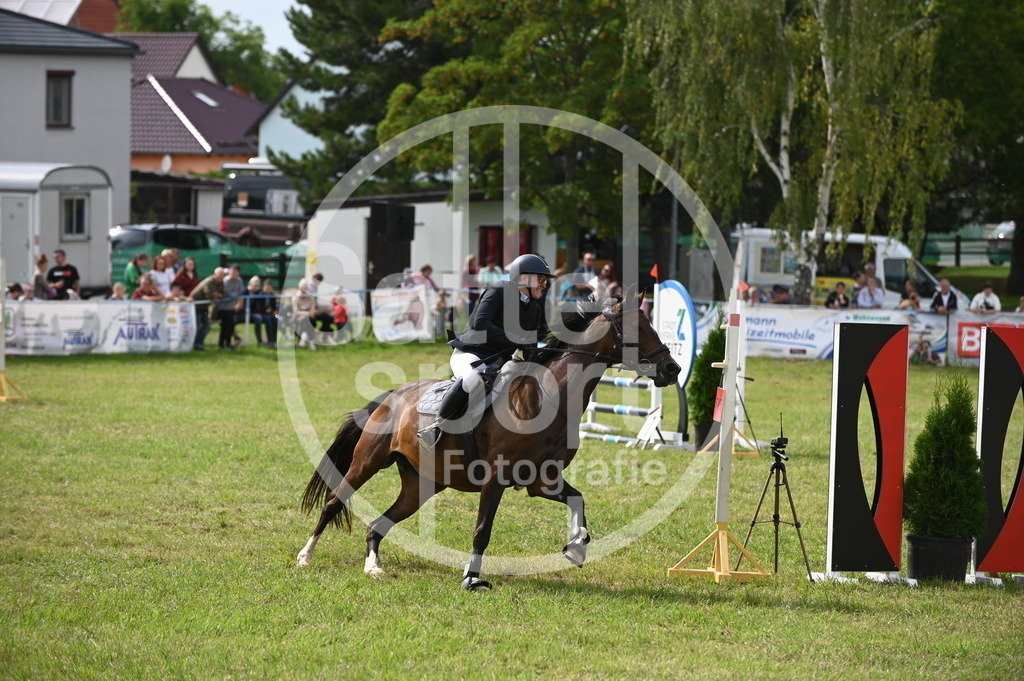 DSC_2965 | sattelsport - Realisiert mit Pictrs.com