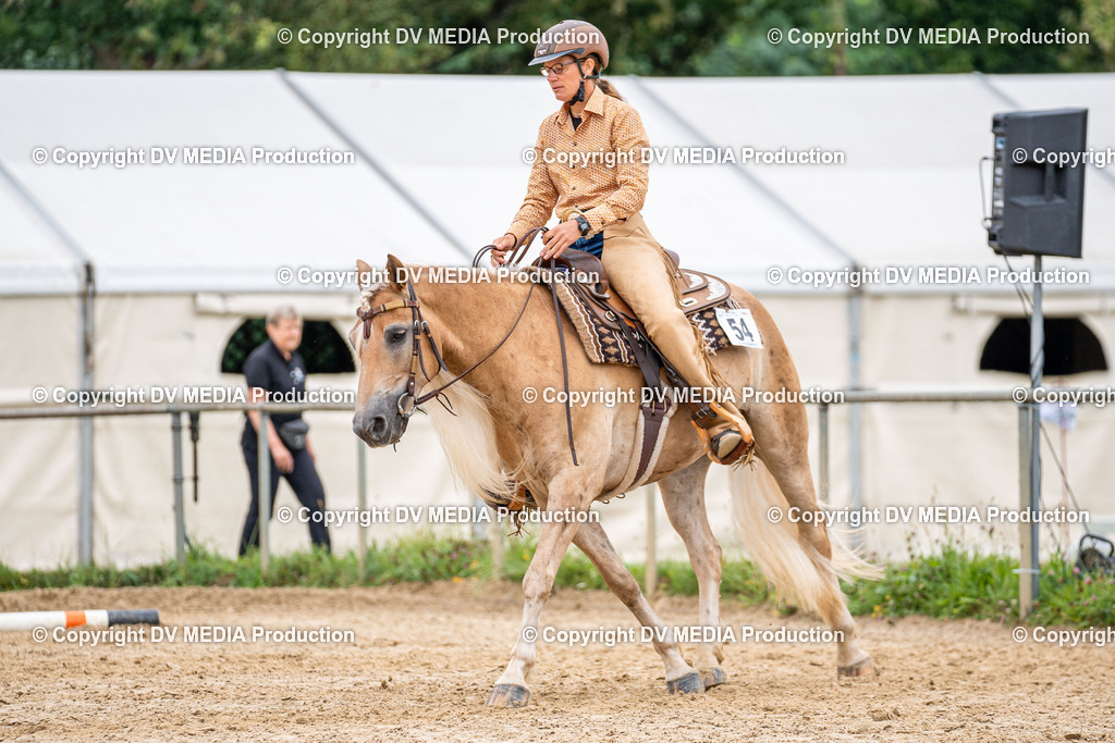 LM Heiligenwald Tag 3-935 | dv-media-shop - Realisiert mit Pictrs.com