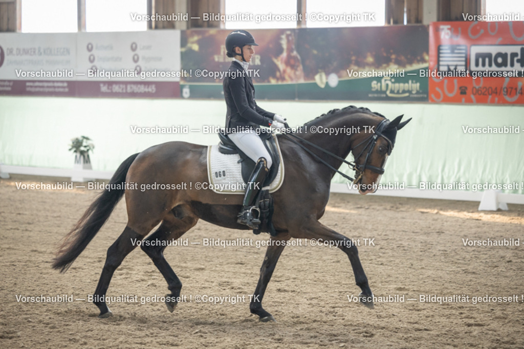 _D5A4259 | Emotionale Pferde- & People-Fotografie rund um Heidelberg, Leimen & Umgebung. Natürliche Fotos von Pferd, Mensch & Familie. Jetzt Termin sichern!