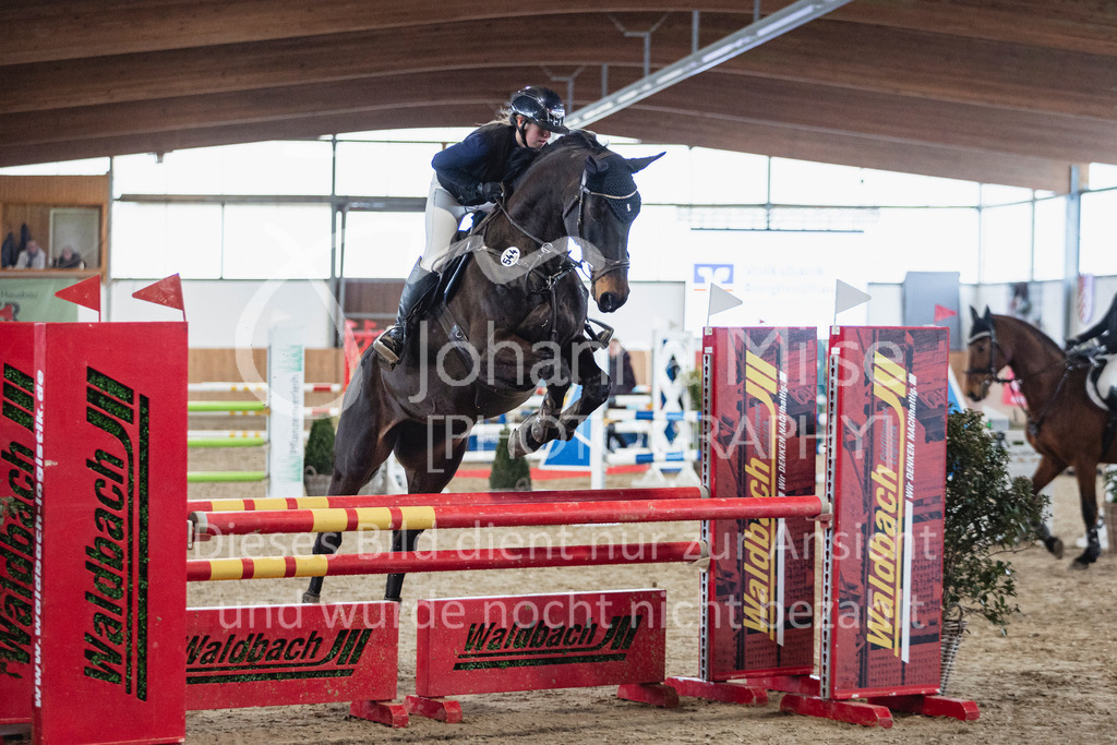 250315_Borgholzhausen_A-Spr-106 | Deine schönsten Turniermomente als professionelle Fotos! Entdecke hochwertige Pferdesport-Fotografie im Online-Shop. Jetzt Fotos finden & bestellen!