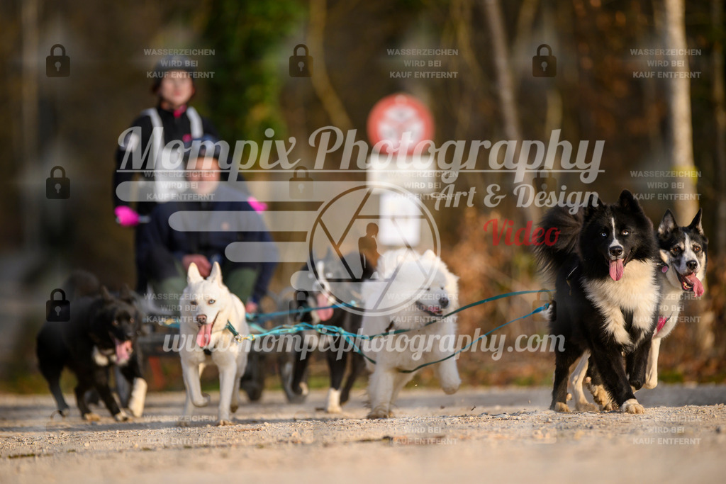 MompixPhotography_6ReiatRennen2026_SO_Kart-31 | PayLife