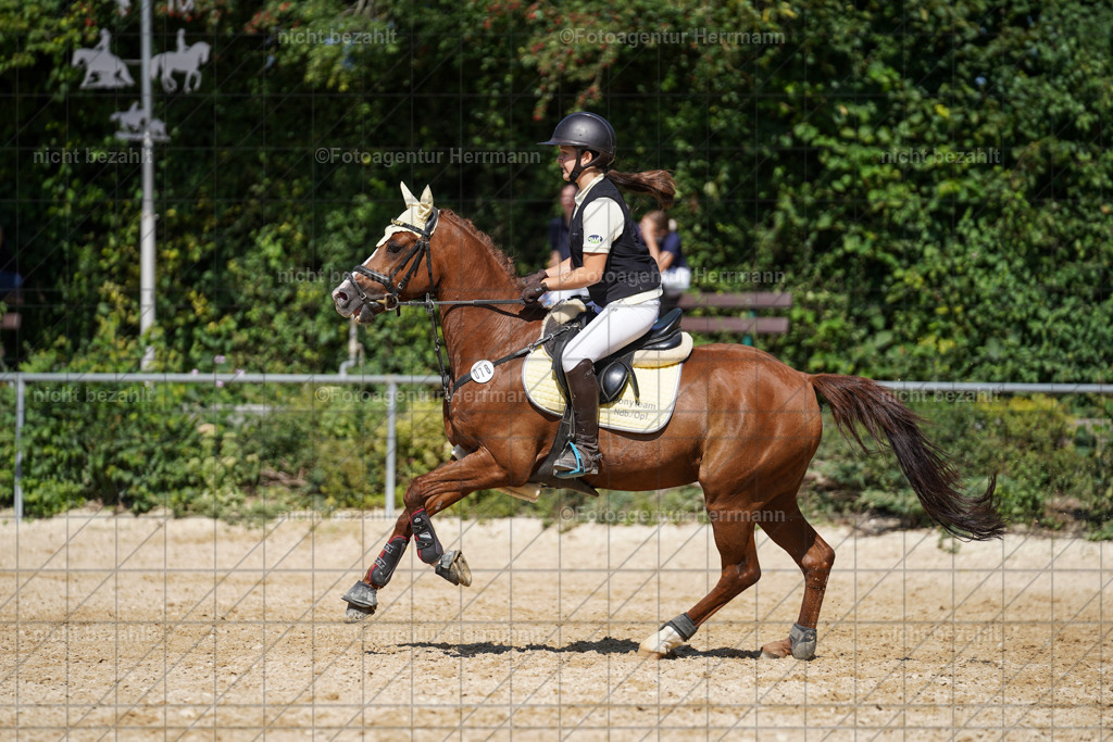 20240824-FAH08347 | Thierhaupten 2024, Bayerisches Landesponyturnier, Turnierbilder, Ponybilder, Turnierfotografen Bayern, Fotoagentur Herrmann