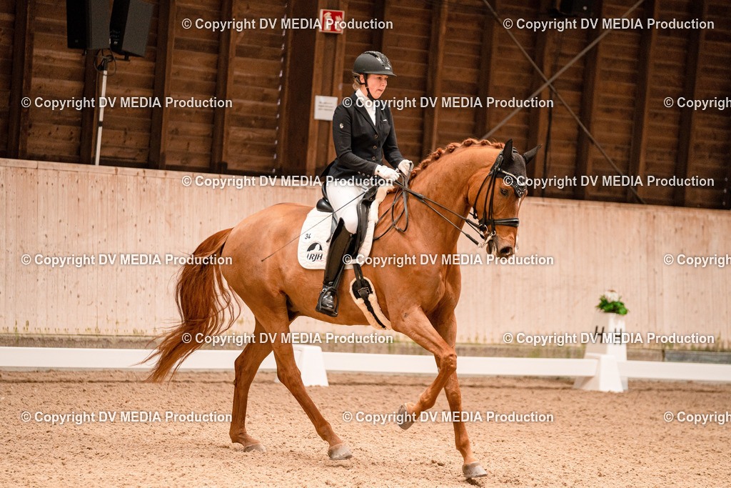 Dressur Tag 1 -171 | dv-media-shop - Realisiert mit Pictrs.com