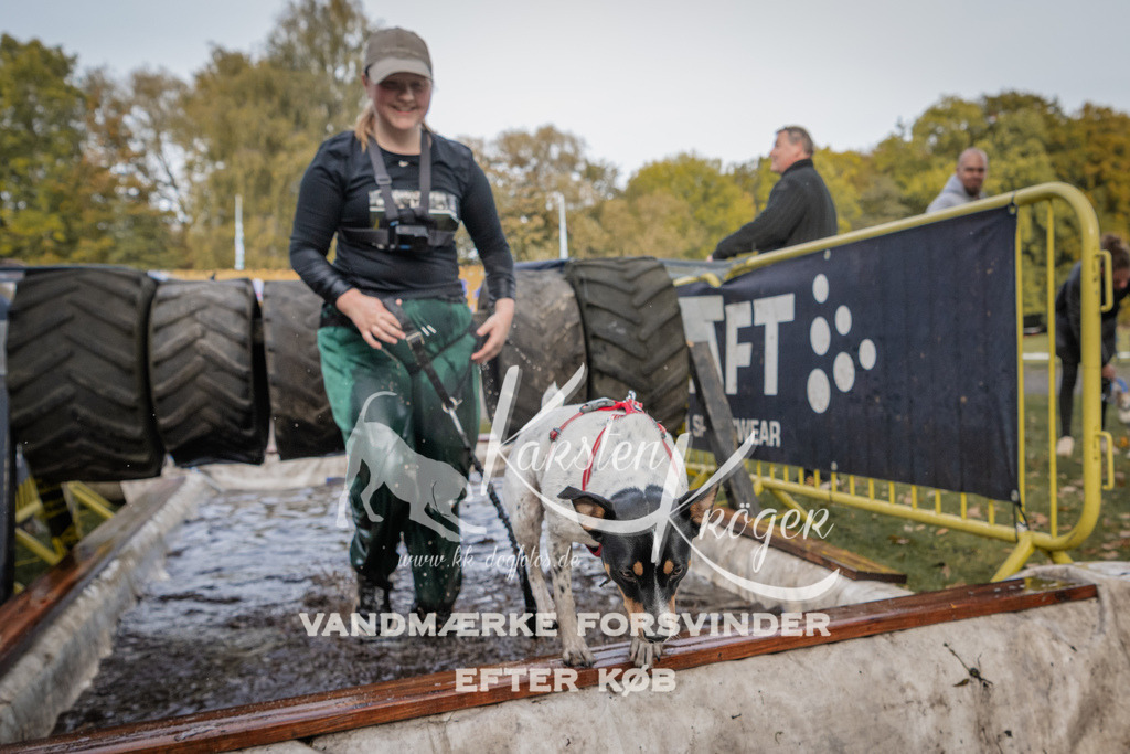 1458_ZZ90781 | kk-dogfotos