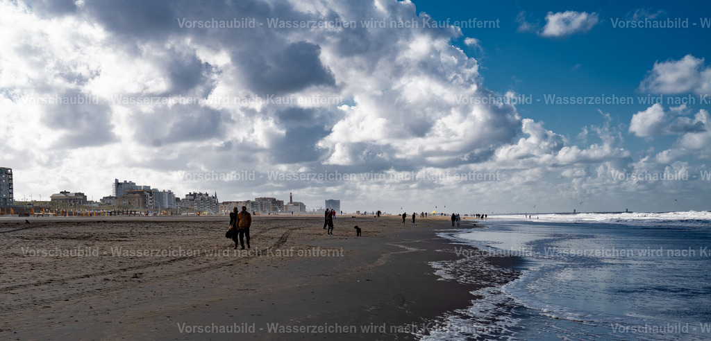 DSC00821-Enhanced-NR-3 | marcuslinek