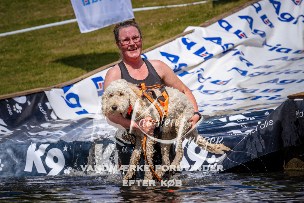 _ZZ960081013 | kk-dogfotos