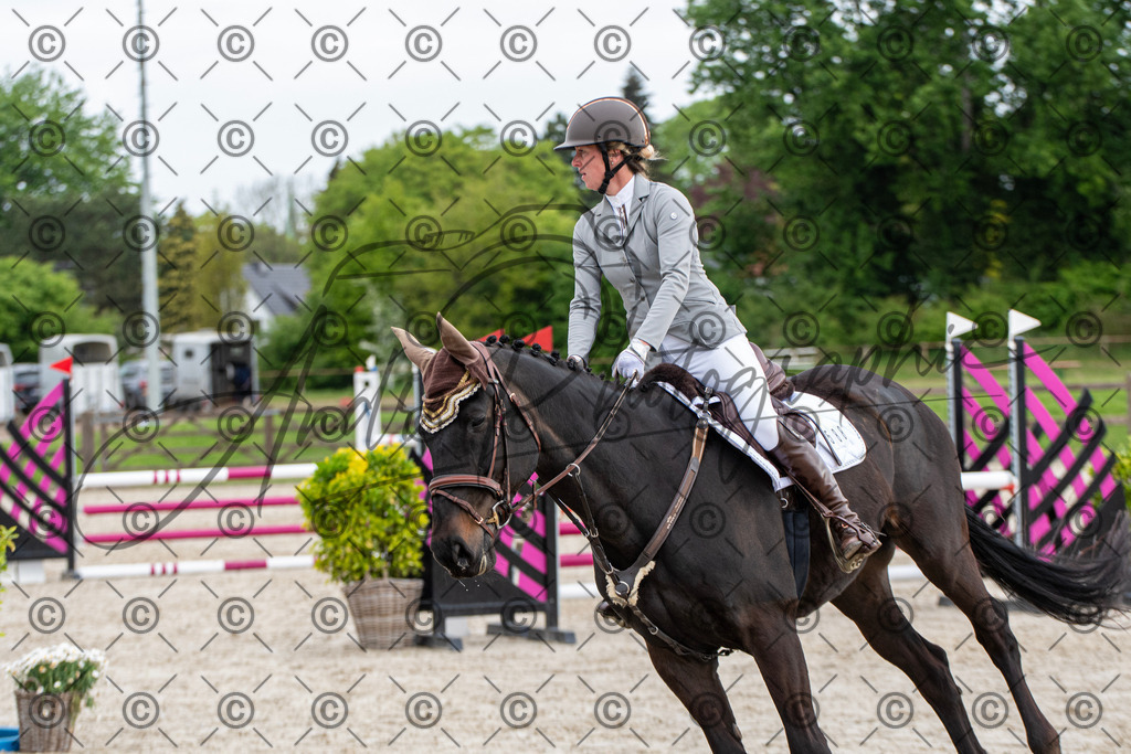 KPT_7829 | andre_photographic