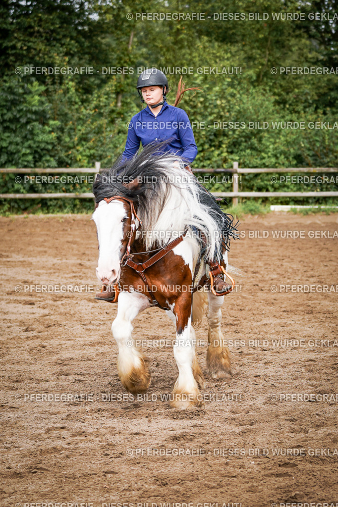 DSC09140 | Pferdegrafie