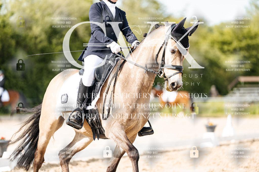 CK900440 | Turnierfotografie Pferdefotografie Trier Rheinland-Pfalz Pferdesport Reitsport Tierfotografie Sportfotografie Pferdevideo Pferdevideografie Equestrianvideography equestrianphotography  - Realisiert mit Pictrs.com