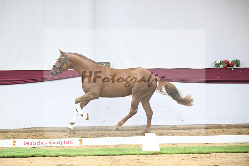 Kat-Nr. 122 Fynch Hatton x De Niro_Wolfgang Reich_47253615 | hf-fotografie - Realisiert mit Pictrs.com