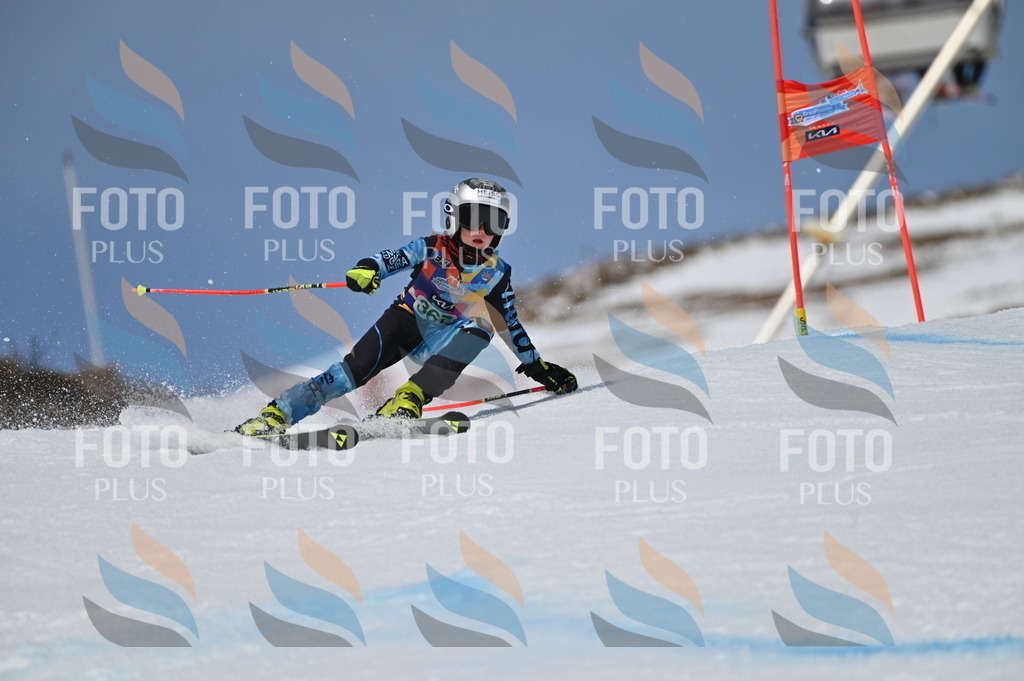 BGV_7252 | holidayphoto