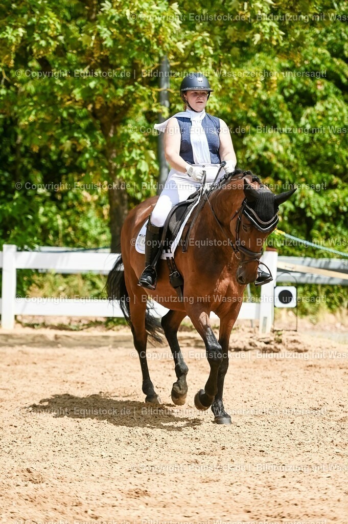 20230715_05_Dressurprüfung Kl.A++_0409 | equistock