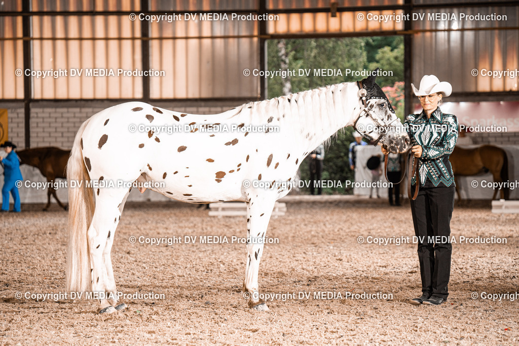 ZH200134 | dv-media-shop - Realisiert mit Pictrs.com