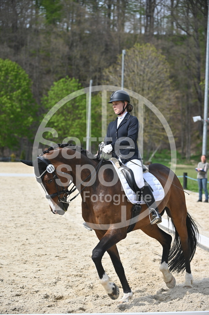 DSC_4150 | sattelsport - Realisiert mit Pictrs.com