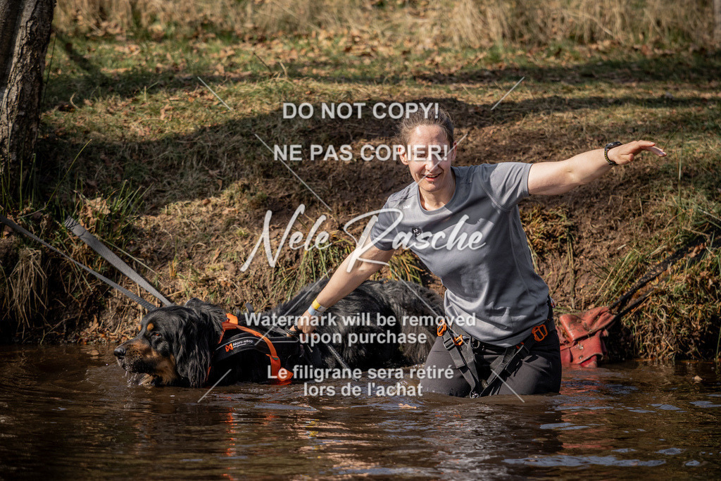 nelerasche_FS1330-1400_124 | nelerasche