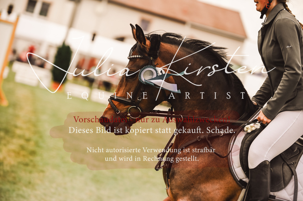 DSC_7000 | Pferde- und Turnierfotografie in Westsachsen. Pferdeportraits, Auftragszeichnungen und intuitive Kunst.