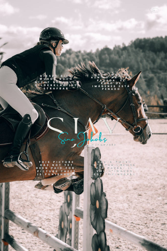 IMG_0780 | s-jay-photography - Realisiert mit Pictrs.com