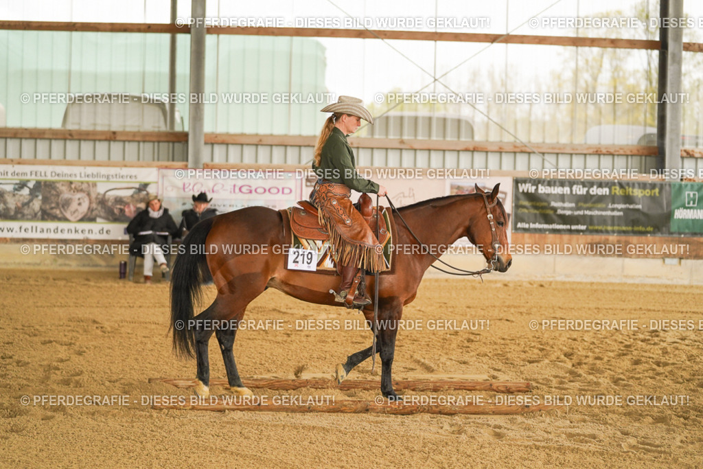 DSC04238 | Pferdegrafie