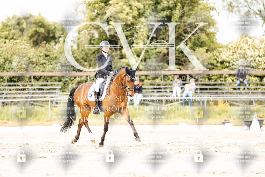 CK900841 | Turnierfotografie Pferdefotografie Trier Rheinland-Pfalz Pferdesport Reitsport Tierfotografie Sportfotografie Pferdevideo Pferdevideografie Equestrianvideography equestrianphotography  - Realisiert mit Pictrs.com