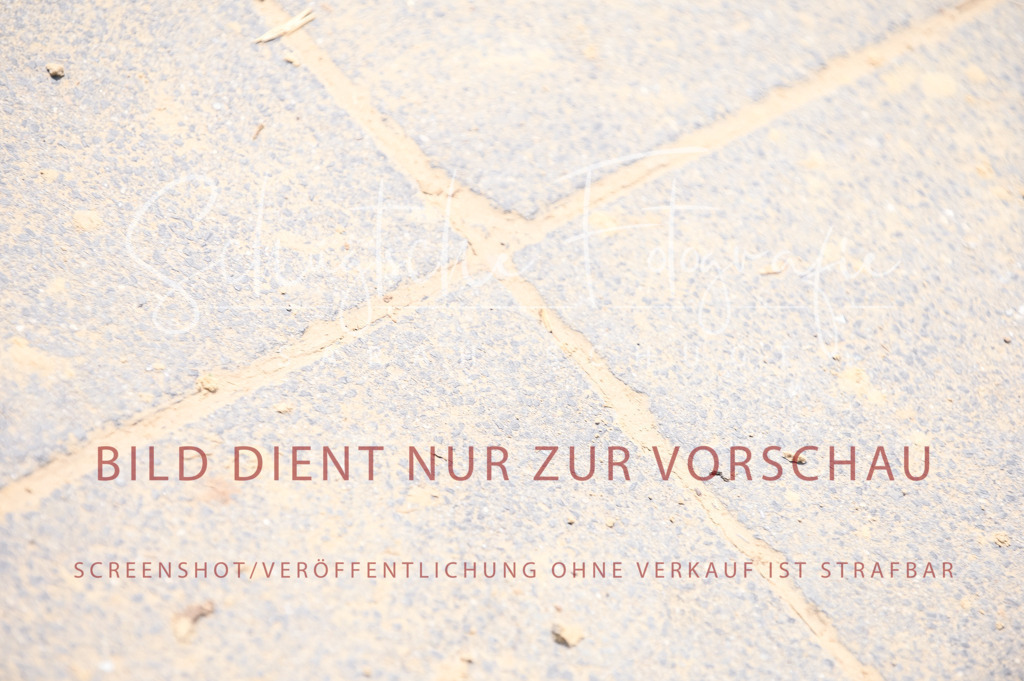 Schugtsche-Aluta25-55.Dressurreiterprf.L1Tr-78 | Schugtsche Fotografie - Realisiert mit Pictrs.com