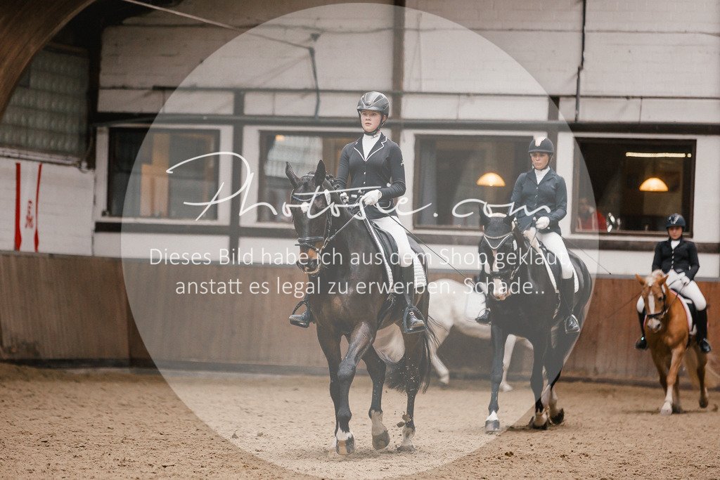 3I6A7865 | Stimmungsvolle Portraits und Reitsportfotografie im Ruhrgebiet und im Münsterland.

Pferdefotografie, Hundefotografie, Tierfotografie, Reportagen, Portraits von Tier und Mensch, Turnierfotografie in Bochum, Recklinghausen, Marl, Haltern am See, Dülmen.. - Realisiert mit Pictrs.com