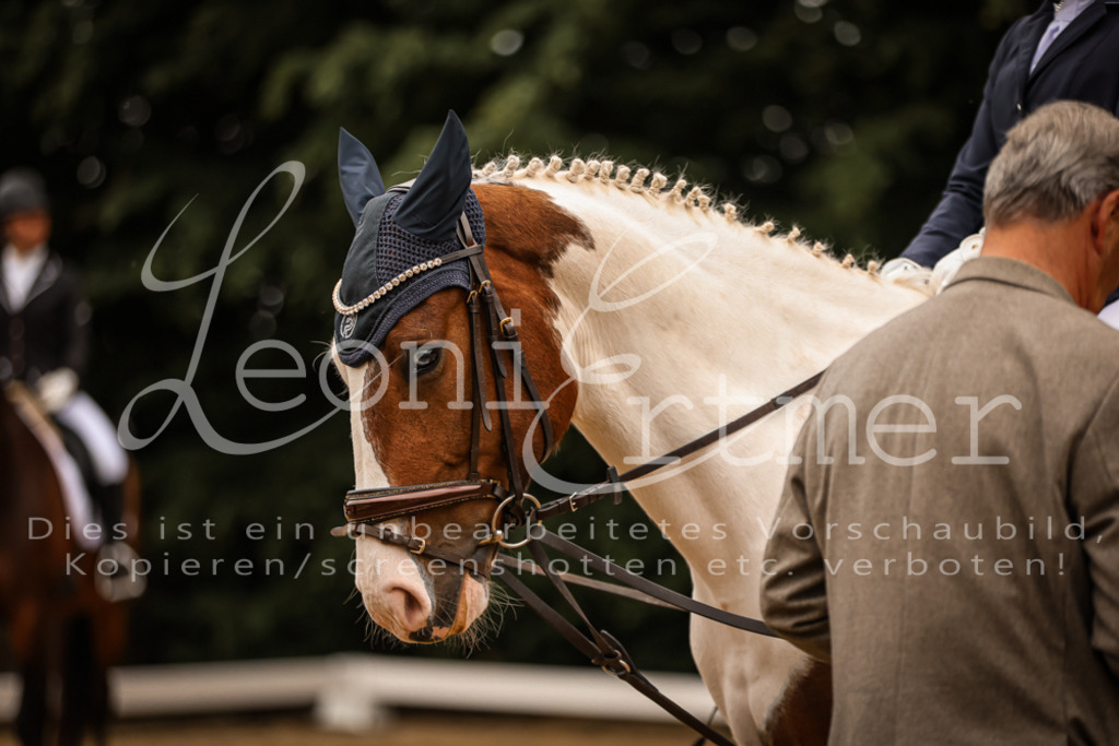 DoDrWB00275 | Leoni Ertmer Photography - Realisiert mit Pictrs.com