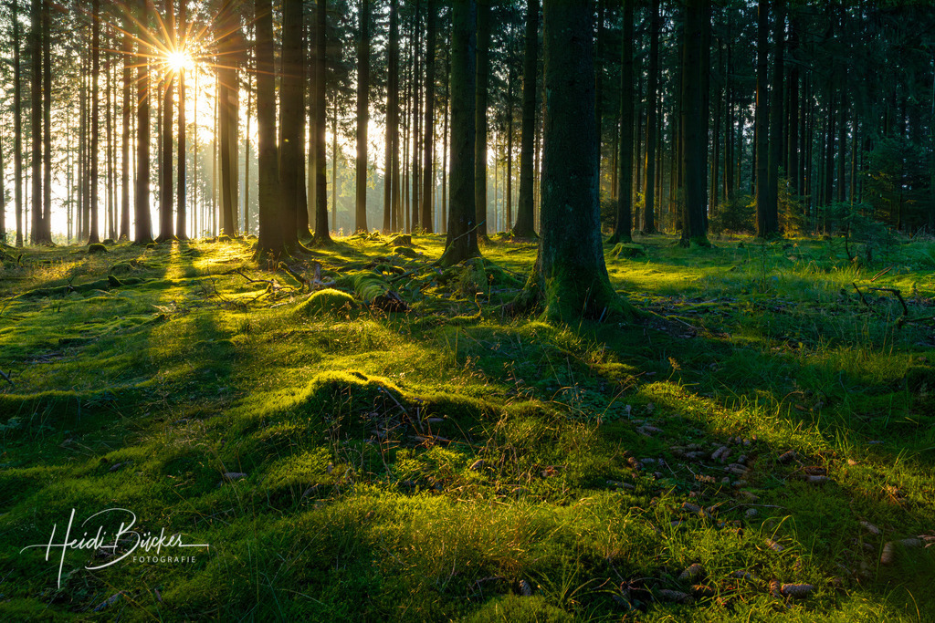 Westfeld und Umgebung 068 | Bilder und Impressionen zu jeder Jahreszeit aus dem Sauerland im Naturpark Sauerland-Rothaargebirge - Realisiert mit Pictrs.com
