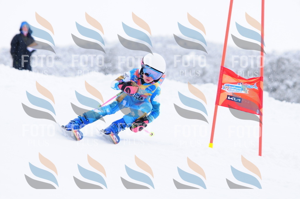 C2708 | holidayphoto