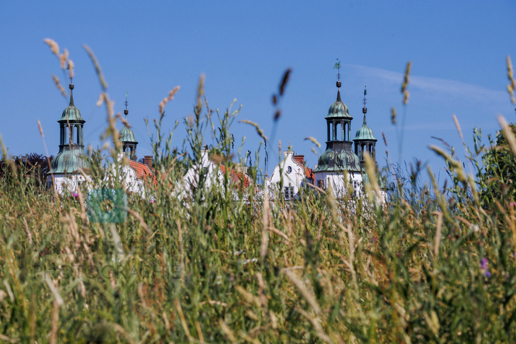 _MG_1611 | Bildershop von Jan Haeselich Photographie - Realisiert mit Pictrs.com