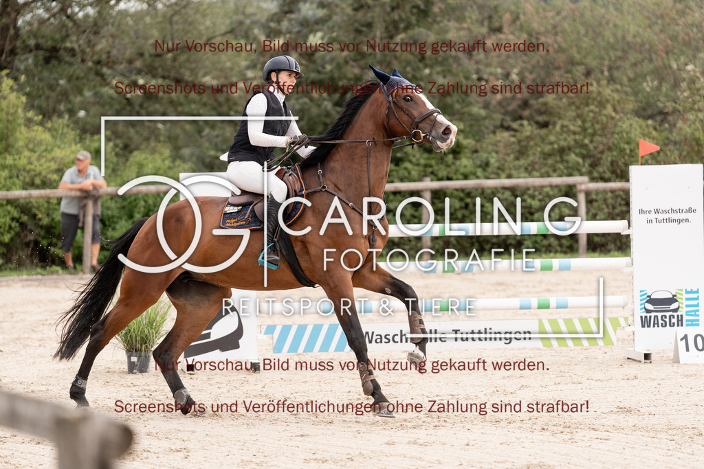 DSC06705 | Springturnier_Teamchallege_Talheim_2026, Celina_Heim, Uriah_5