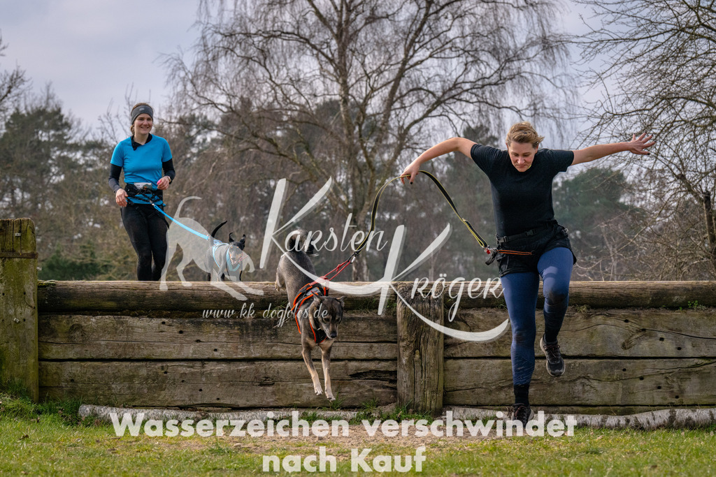 _ZZ91380 | kk-dogfotos