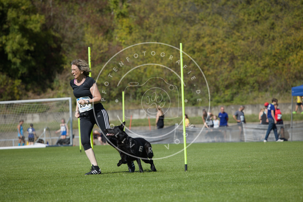 0L8A6459 | Hundefotografie, Tierfotograf, Pfotenfotografie, Fotoshooting Hund, Hunde Portrait, Hundesport, Hundeportraits, Heideshooting, Hunde, Sportfotograf, Hundefotograf, Turnierhundsport, THS,  - Realisiert mit Pictrs.com