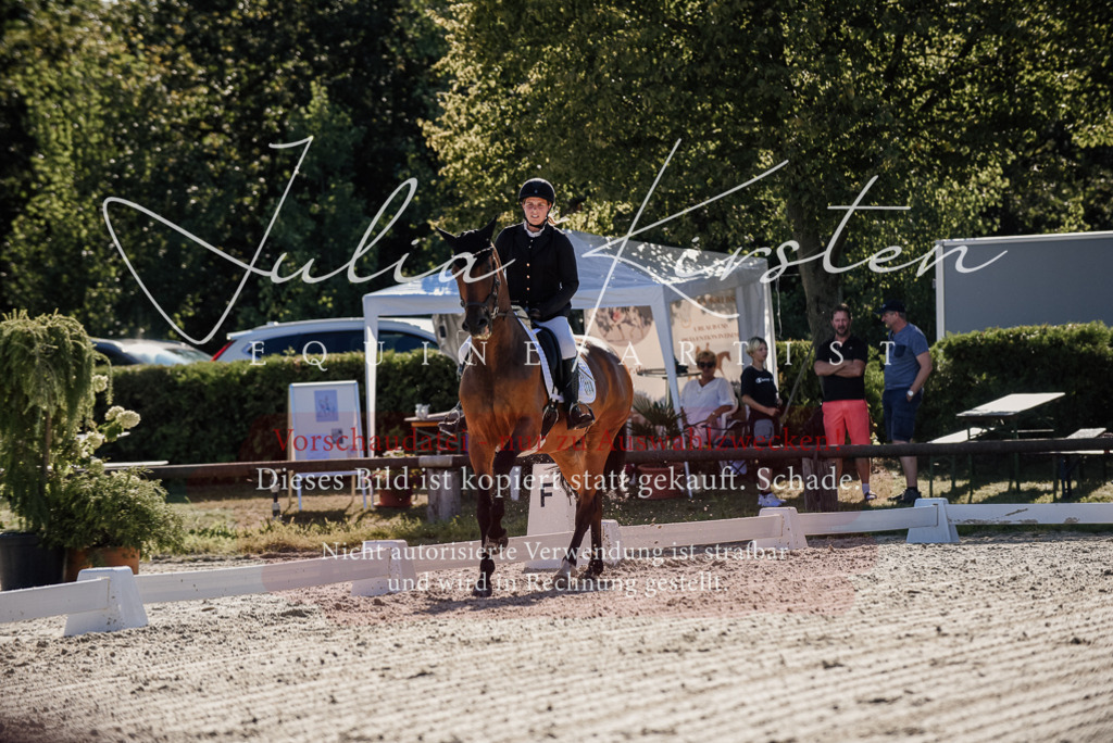 DSC_0313 | Pferde- und Turnierfotografie in Westsachsen. Pferdeportraits, Auftragszeichnungen und intuitive Kunst.