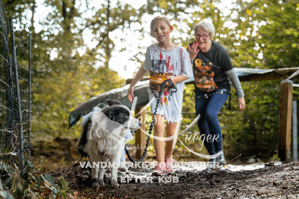 1459DZ6_4281Z6 | kk-dogfotos