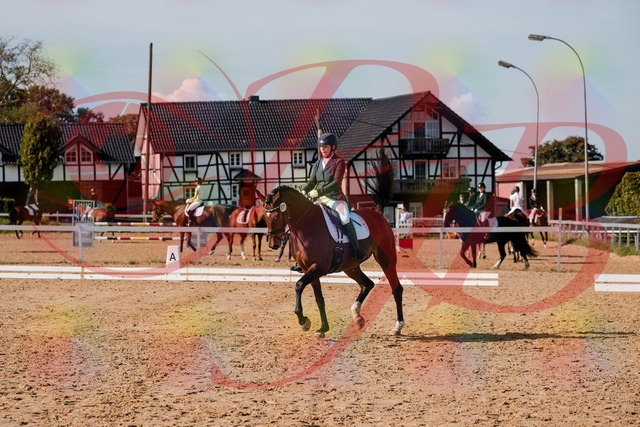 2026_10_03_Siefer-Hof_125537_Z63_62268426 | Professionelle Reitsport-, Turnier- und Eventfotografie von Robert Broda. Galerien mit ausgewählten und bearbeiteten Bildern direkt online ansehen und bestellen.