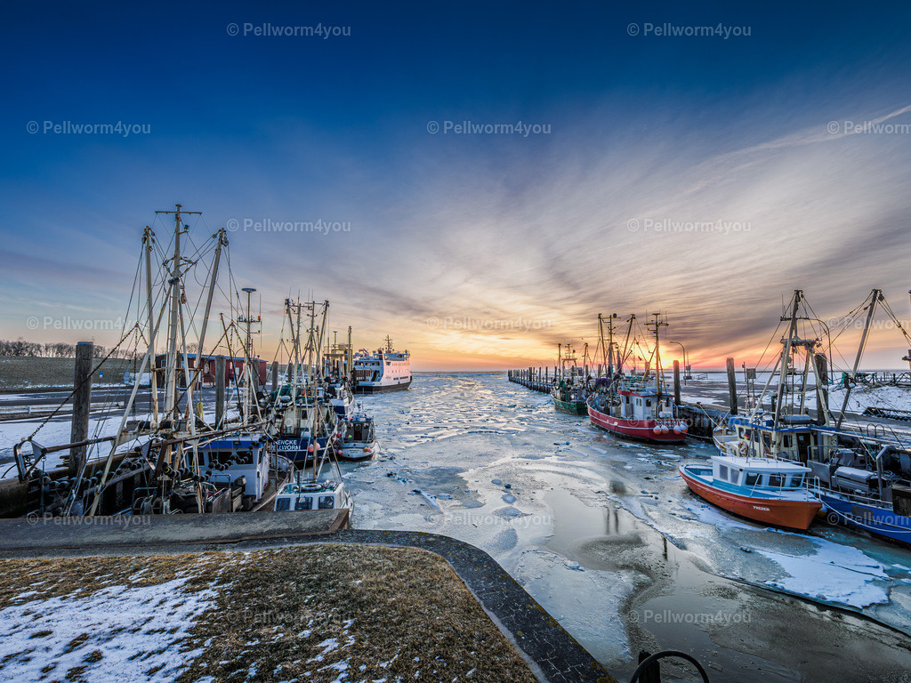 _2190232 | Pellwormer Bilder und Fotos als Poster, auf Leinwand mit Keilrahmen, hinter Acrylglas, auf Alu-Dibond oder Forex-Platte und vieles mehr. Zum verschenken, für die Ferienwohnung oder für zu Hause. - Realisiert mit Pictrs.com