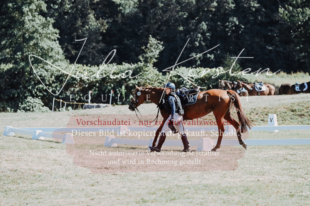 DSC_8545 | Pferde- und Turnierfotografie in Westsachsen. Pferdeportraits, Auftragszeichnungen und intuitive Kunst.
