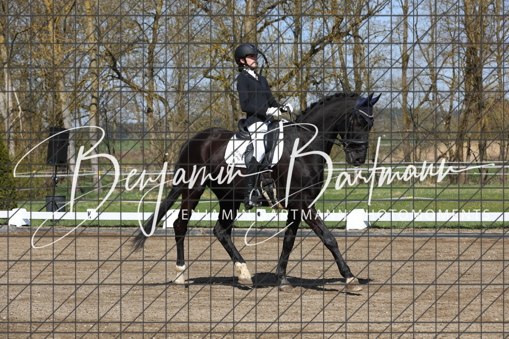 AZ2A4585 | Benjamin Bartmann Photomoments