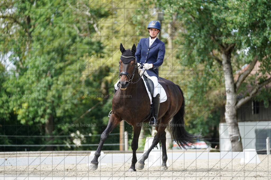 20230826-FAH05516 | Forstinning, 2023, Dressurturnier, Turniersportbilder, Turnierfotografen Bayern, Fotoagentur Herrmann, Reitsportfotografie, Turnierbilder