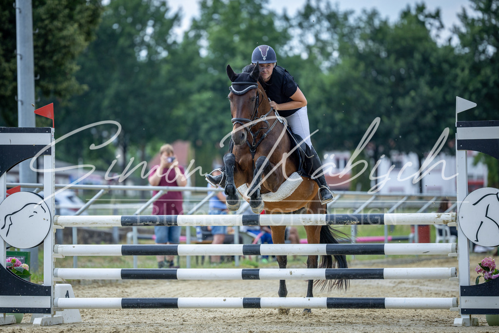 20260704-_3LI1422 | Tierfotografie Pferde, Hunde, Katzen, Haustiere.
Turnierfotografie Reitturniere, Reiten, Springreiten, Dressur in Hanau, dem Main-Kinzig-Kreis und dem Rhein-Main- Gebiet um Frankfurt