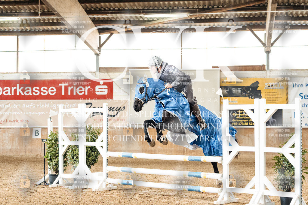 CK905409 | Turnierfotografie Pferdefotografie Trier Rheinland-Pfalz Pferdesport Reitsport Tierfotografie Sportfotografie Pferdevideo Pferdevideografie Equestrianvideography equestrianphotography  - Realisiert mit Pictrs.com