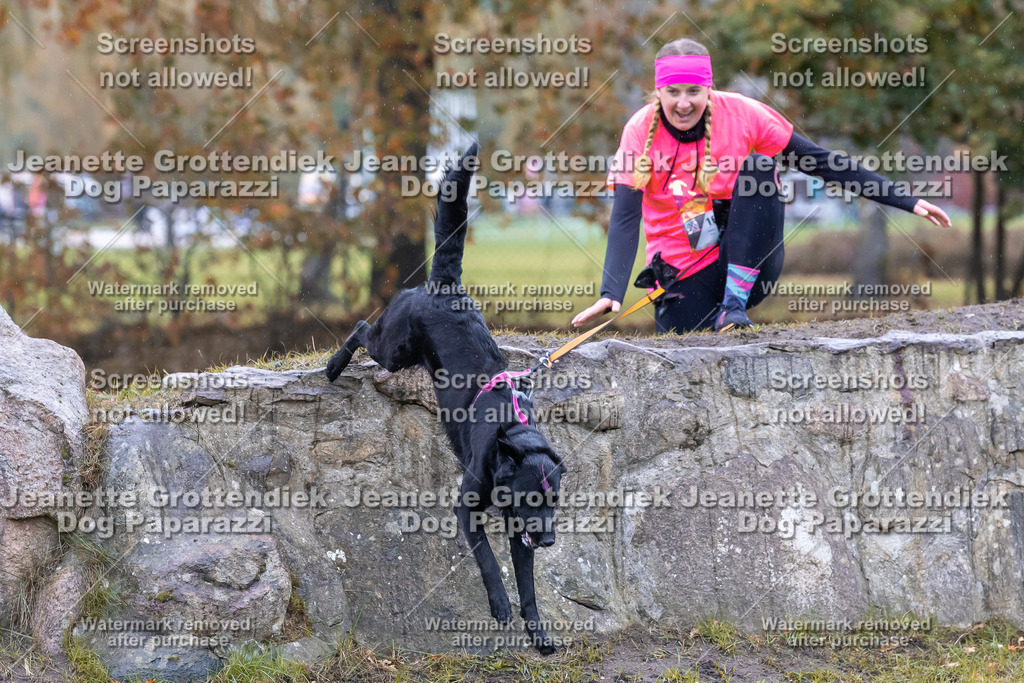 Dog Paparazzi - SD CaniX Championship 2025-795 | Dog Paparazzi Jeanette Grottendiek Fotografie & Videografie - Realisiert mit Pictrs.com