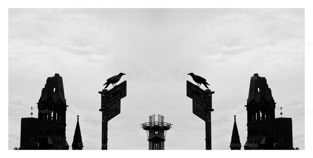 selbstbegegnung_10_03_24_einzeln63 | Photo Foto Kunst Art schwarzweiss Bilder Rheine Münster Berlin Blumen 