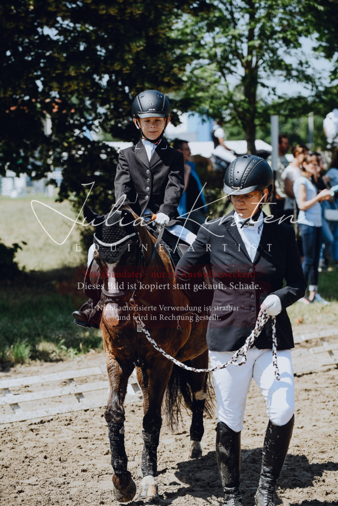 DSC_2174 | Pferde- und Turnierfotografie in Westsachsen. Pferdeportraits, Auftragszeichnungen und intuitive Kunst.