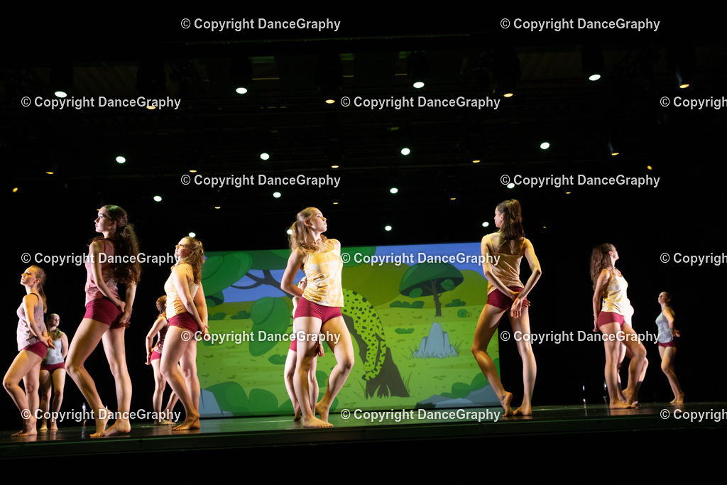 GPHY6339 | DanceGraphy - Realisiert mit Pictrs.com