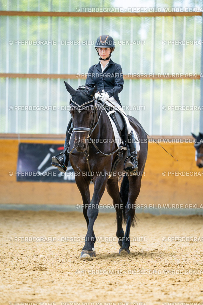 DSC09420 | Pferdegrafie