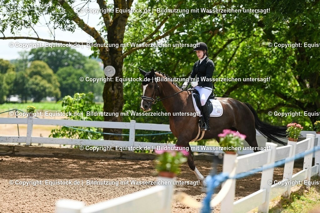 20230716_03_Dressurprfg. Kl.L - Tr._0171 | equistock