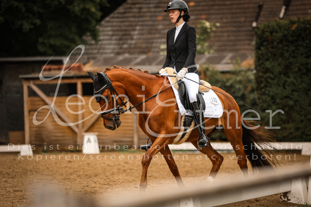 DoDrA200326 | Leoni Ertmer Photography - Realisiert mit Pictrs.com